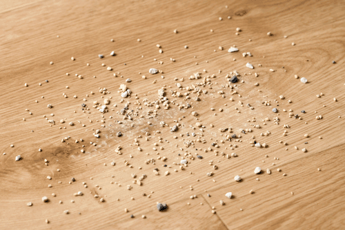 【紙パックセット】充電式紙パックスティッククリーナー 紙パック5年分付き SBD-78P-W ホワイト4