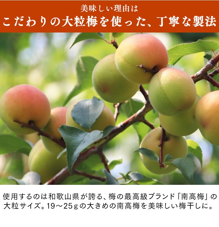 減塩 紀州はちみつ つぶれ梅 塩約3% 400g×23