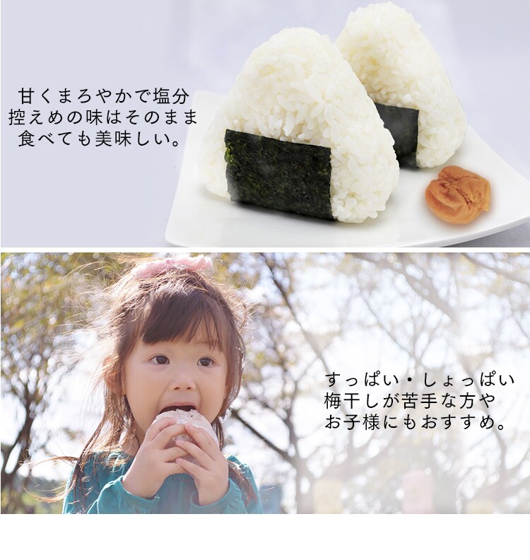 減塩 紀州はちみつ つぶれ梅 塩約3% 400g×26