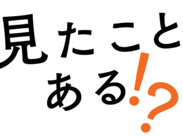 【10％OFFクーポン配布中！！】　セラミックファンヒーター ツインセラ ACH-MN12A-W ホワイト2