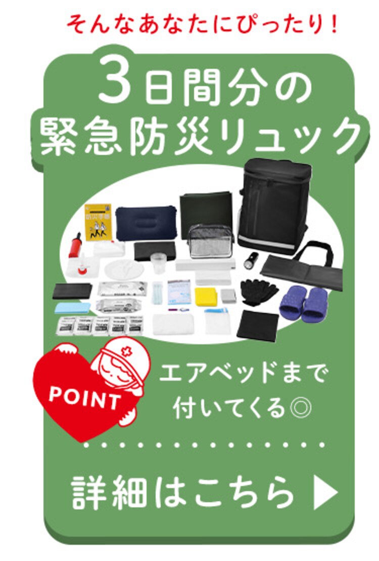 ★テレビ放映されました★防災リュック３日間避難１人用 BMH-1 ブラック【前払い不可】【代引き不可】【同梱不可】11