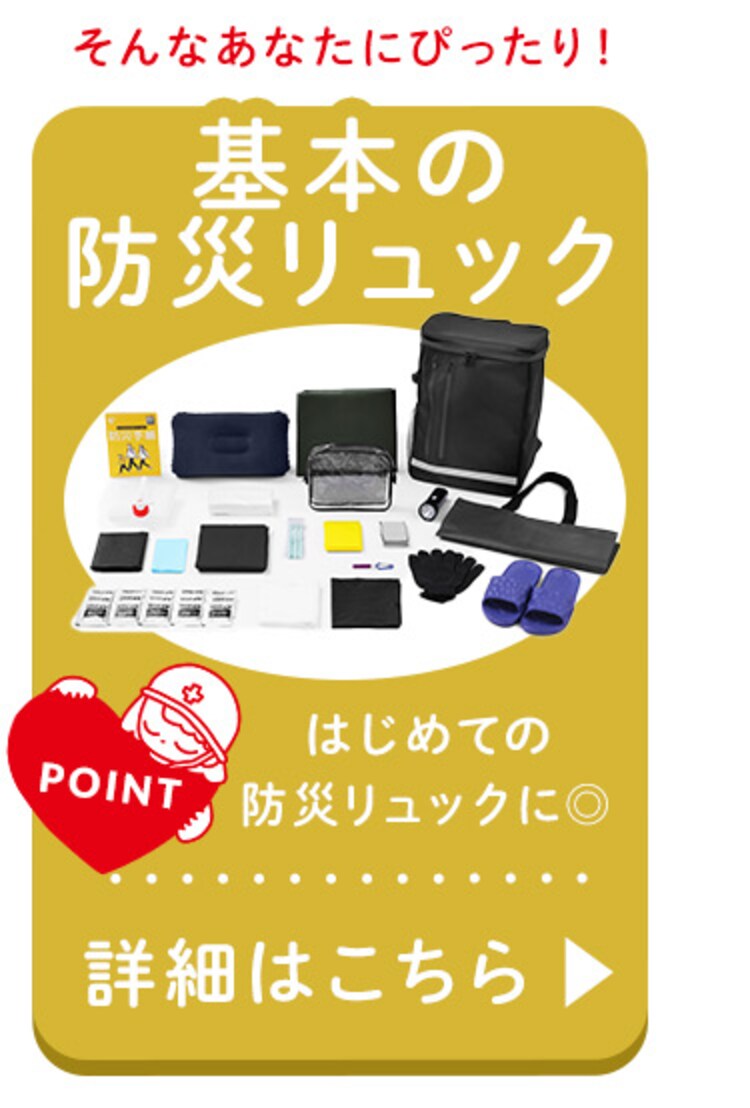 ★テレビ放映されました★防災リュック３日間避難１人用 BMH-1 ブラック【前払い不可】【代引き不可】【同梱不可】12