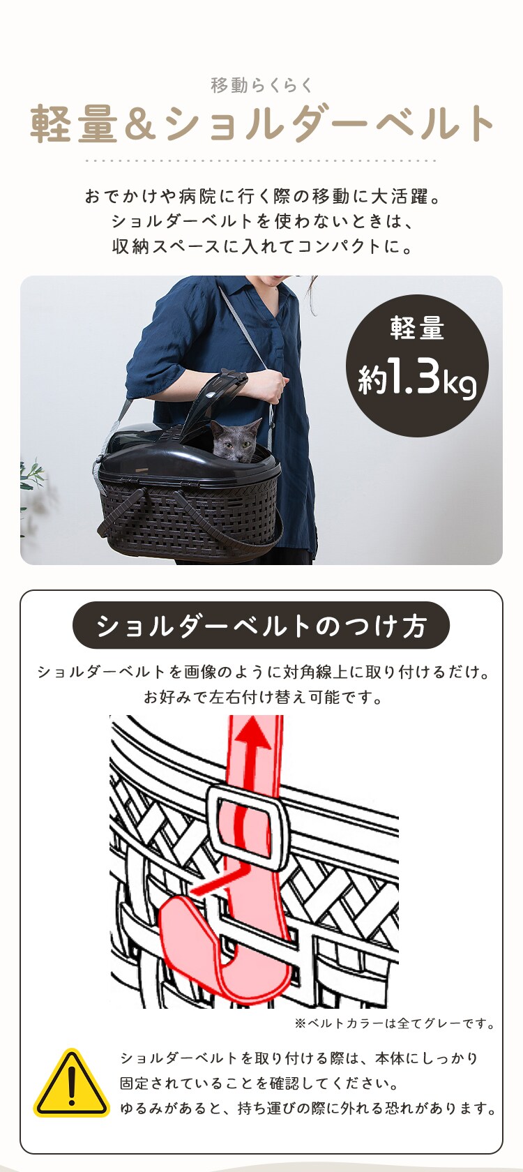 メッシュペットキャリー MPC-450 ライトベージュ3