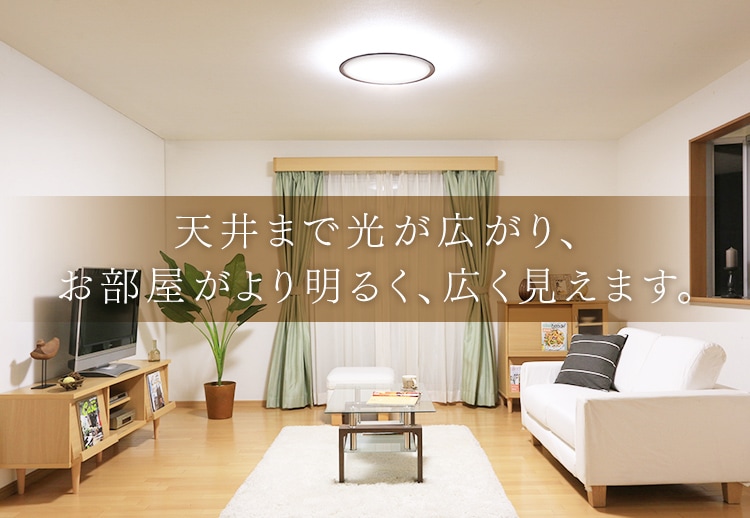 邭L