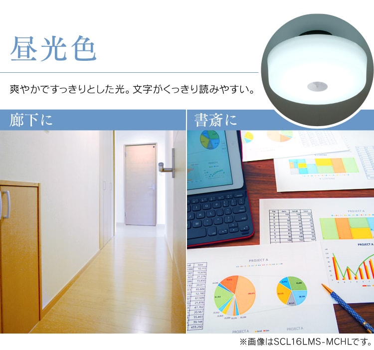 【4個セット】シーリングライト LED 小型 メタルサーキットシリーズ 600lm 人感センサー付 電球色 玄関 廊下 キッチン 洗面所 クローゼット 照明 SCL6LMS-MCHL7