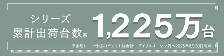 キッズ チェスト 5段 収納ケース トイストーリー NHG-W725TP0