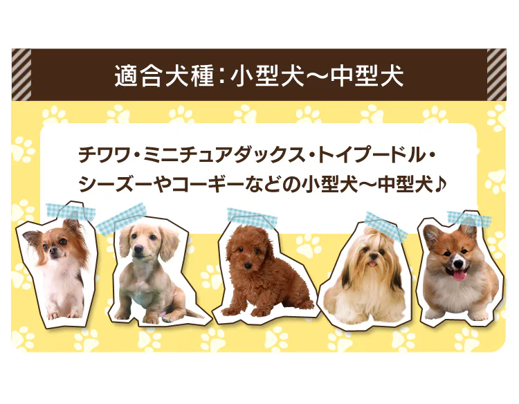 適合犬種:小型犬~中型犬