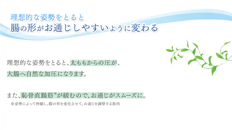 腸の形がお通じしやすいように変わる