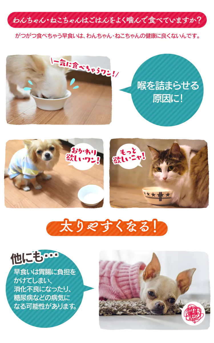 わんちゃん・ねこちゃんはご飯をよく噛んで食べていますか?
