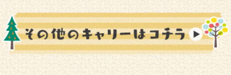 その他のキャリーはコチラ