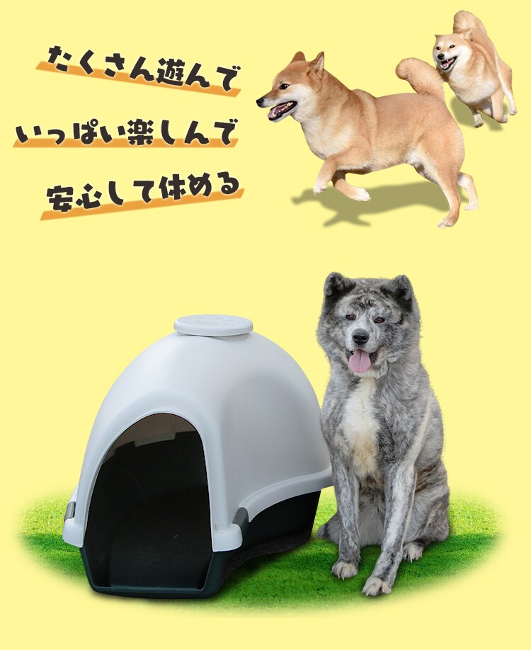適合犬種