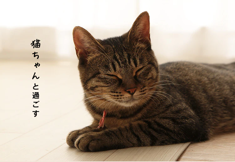 上から猫トイレ システムタイプ PUNT-530S28