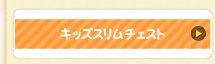 スリムチェスト S-303 全6種10