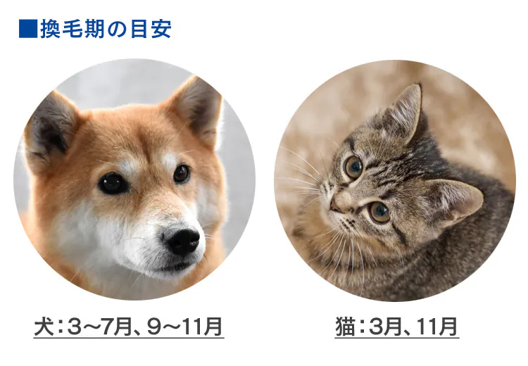 【ペット用活性炭フィルター付き】空気清浄機〔ホコリセンサー付〕 PMAC-100-S ホワイト／グレー14