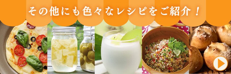 【訳あり】ヨーグルトメーカー レシピブック付き 低温調理 IYM-0137