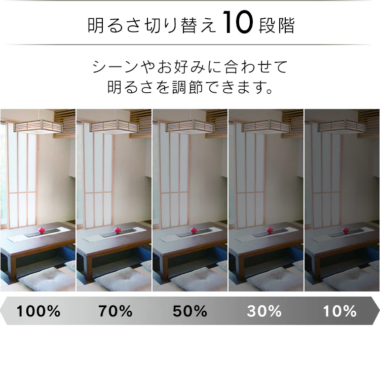 和風ペンダントライト メタルサーキットシリーズ 8畳 PLM8DL-J8