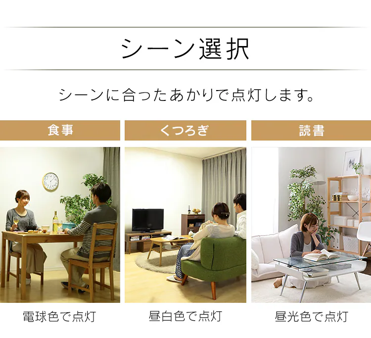 【訳あり】和風ペンダントライト メタルサーキットシリーズ 8畳上下調色 PLM8DL/DL-J　15