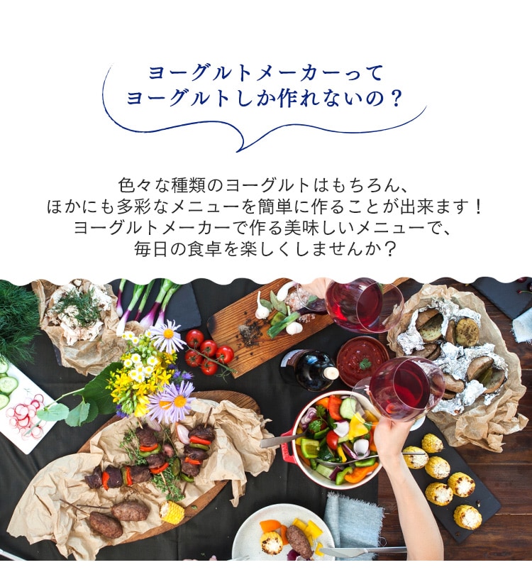 ヨーグルトメーカー 自動メニュー2種 専用容器×1個 IYM-0141