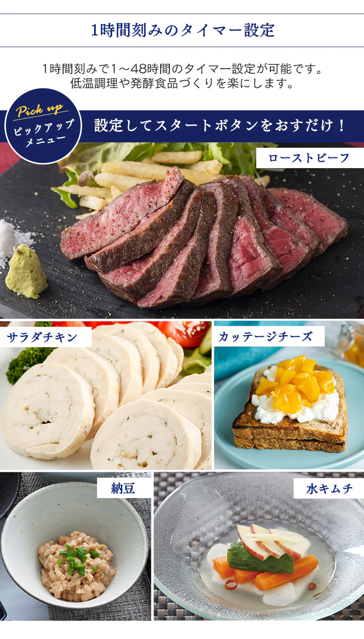 ヨーグルトメーカー 自動メニュー2種 専用容器×1個 IYM-0145