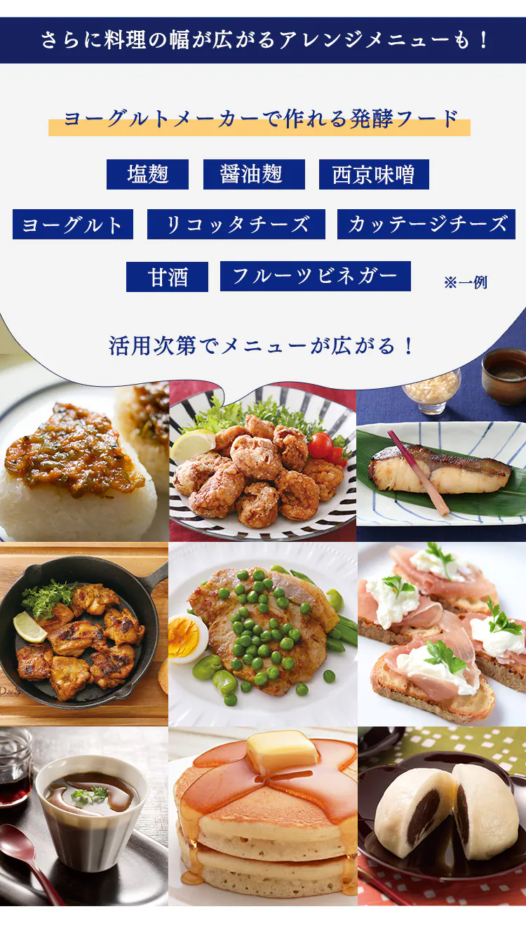 ヨーグルトメーカー 自動メニュー2種 専用容器×1個 IYM-0146