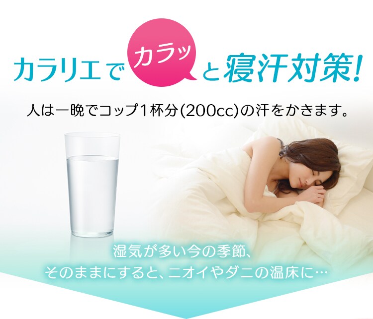 【訳あり】ふとん乾燥機 カラリエ ツインノズル KFK-W1-WP 