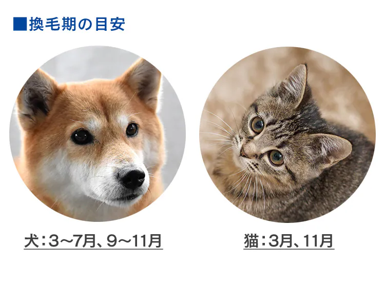 空気清浄機 25畳 ほこりセンサー 自動運転モード マイナスイオン お手入れ簡単 RMDK-50 ブラウン23