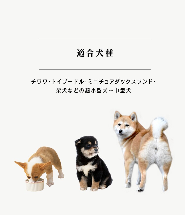 ワイヤーサークル PWC-628 マットブラウン 犬 サークル8