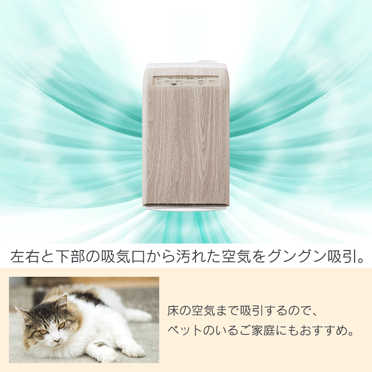 空気清浄機 10畳 加湿空気清浄機 8畳 デザインモデル スチーム式 風量3段階 加湿モード3段階 マイナスイオン RHF-253-TM 薄茶木目6
