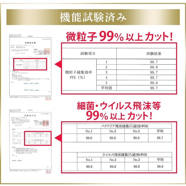 マスク ゆったり大きめサイズ 65枚入り プリーツマスク3