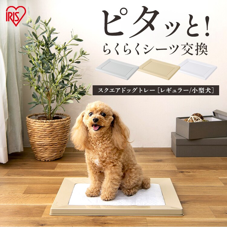  磁石でピタッとスクエアドッグトレー レギュラー SQDT-482R ベージュ0