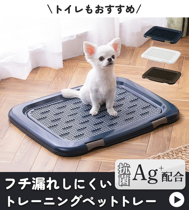 ウッディサークル ロータイプ PWSR-1260LV 全3色11