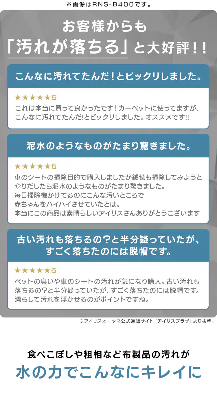 【セット】リンサークリーナー RNS-P10-W+スチームクリーナー STM-30314