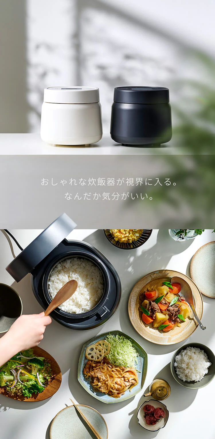 炊飯器 マイコン式 3合炊き RC-MSA30 全2色1