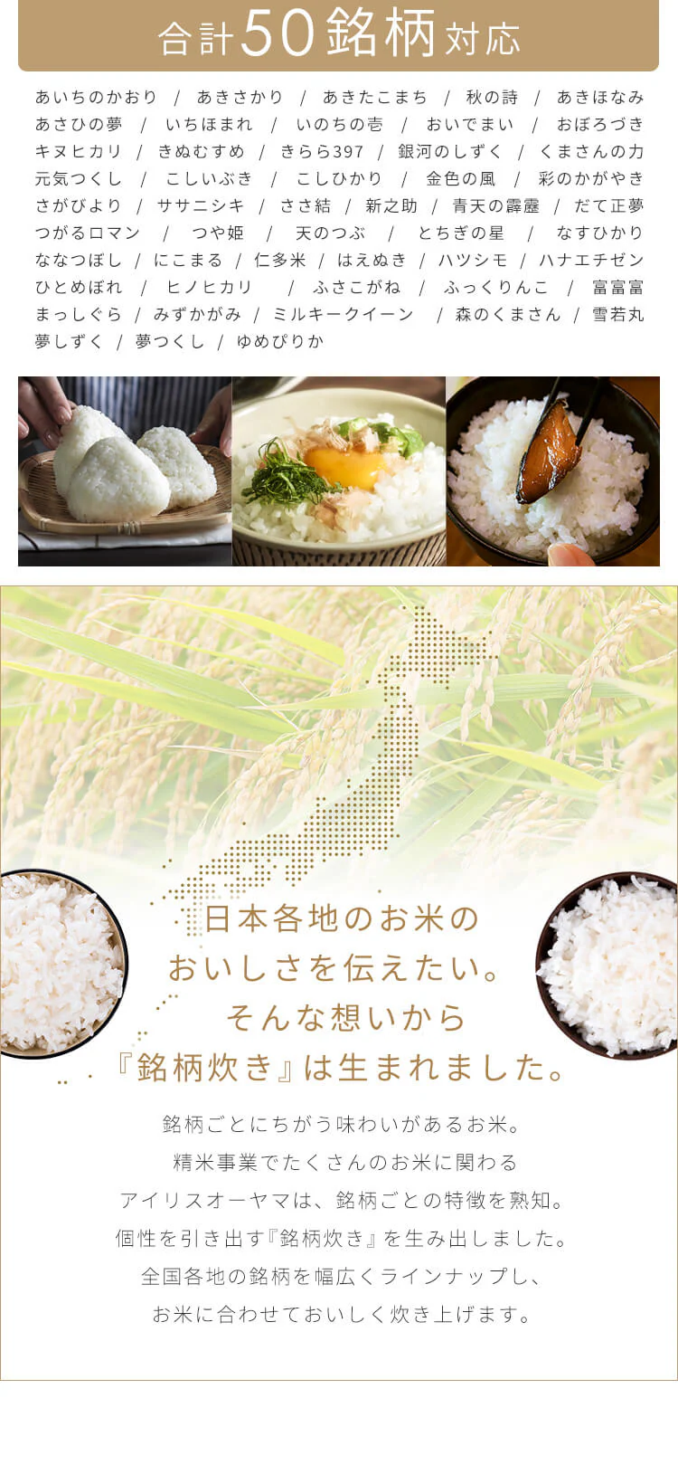 炊飯器 マイコン式 3合炊き RC-MSA30 全2色4