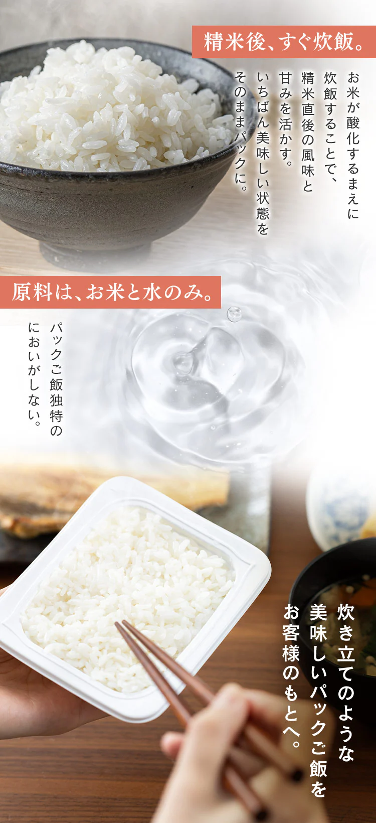 低温製法米のパックご飯 青天の霹靂 150g×16パック【プラザマーケット】4