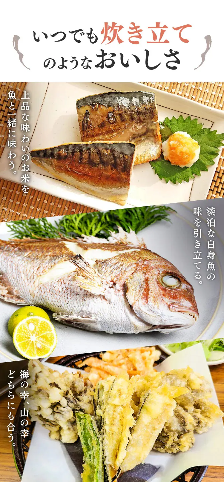 低温製法米のパックご飯 青天の霹靂 150g×16パック【プラザマーケット】2