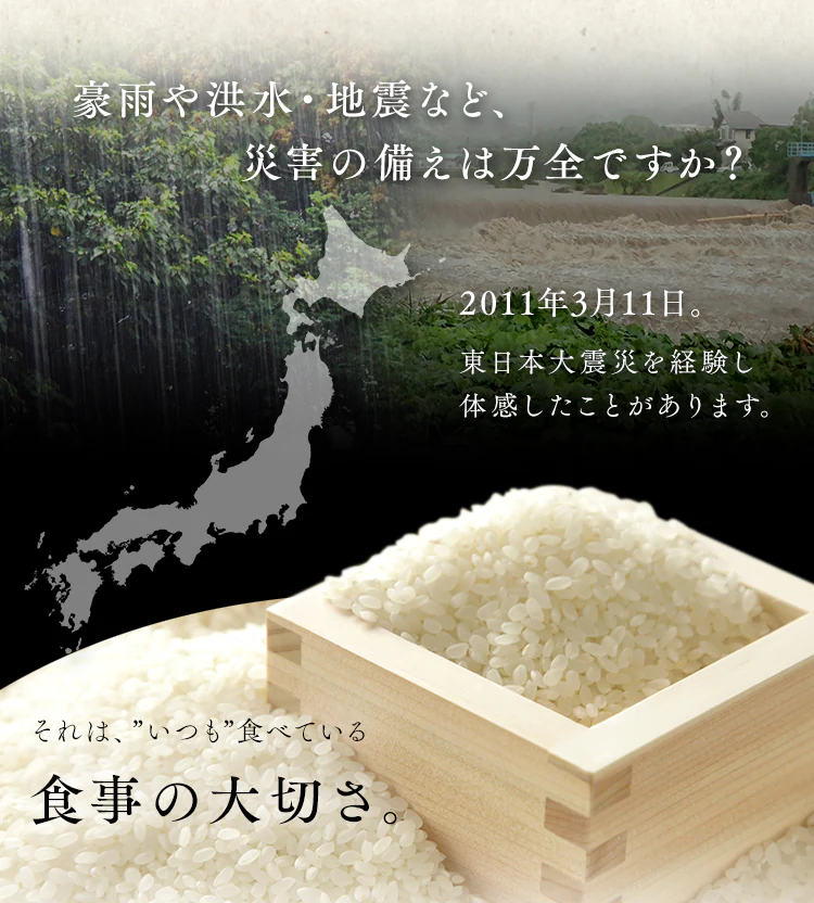 【12食】 長期保存 パックご飯 5年 180g2