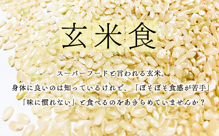 発芽玄米 パックごはん 150g 低温製法米のおいしいごはん0