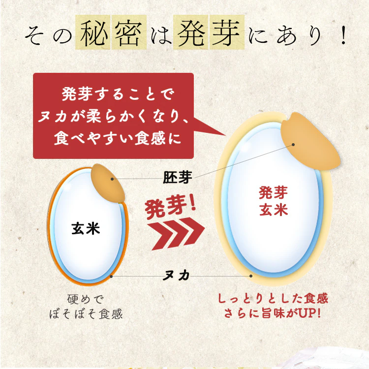 発芽玄米 パックごはん 150g 低温製法米のおいしいごはん3