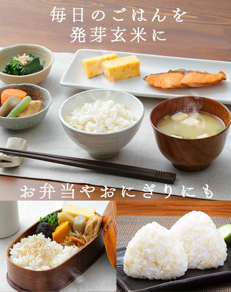 発芽玄米 パックごはん 150g 低温製法米のおいしいごはん11