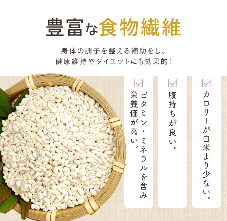 もち麦 パックごはん 150g 国産米100％ 低温製法米のおいしいごはん4