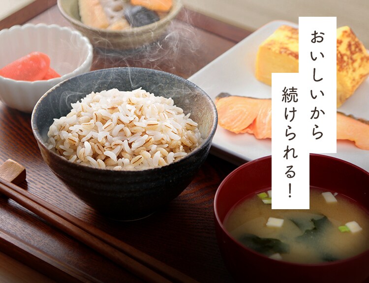もち麦 パックごはん 150g 国産米100％ 低温製法米のおいしいごはん8
