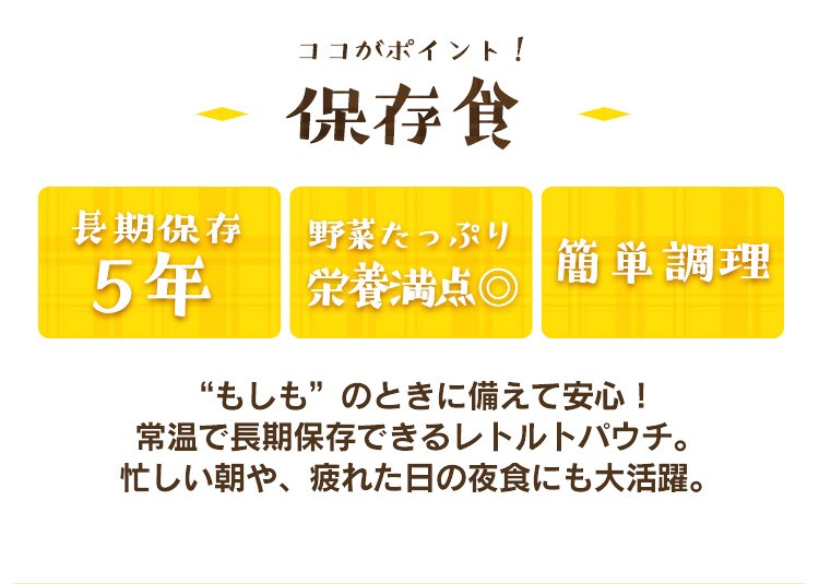 非常食 豚汁 250g1