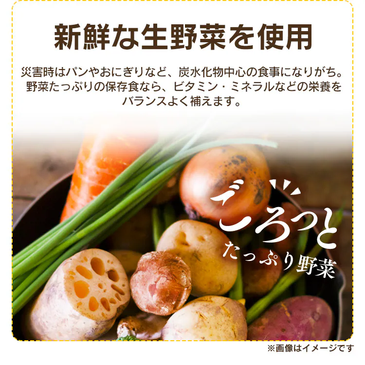 非常食 豚汁 250g5