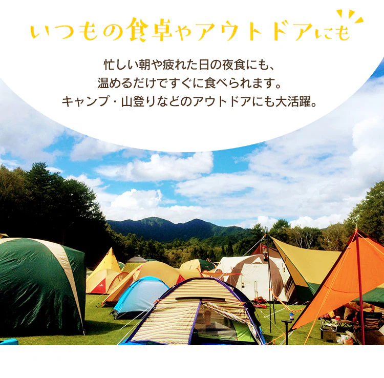 非常食 豚汁 250g9