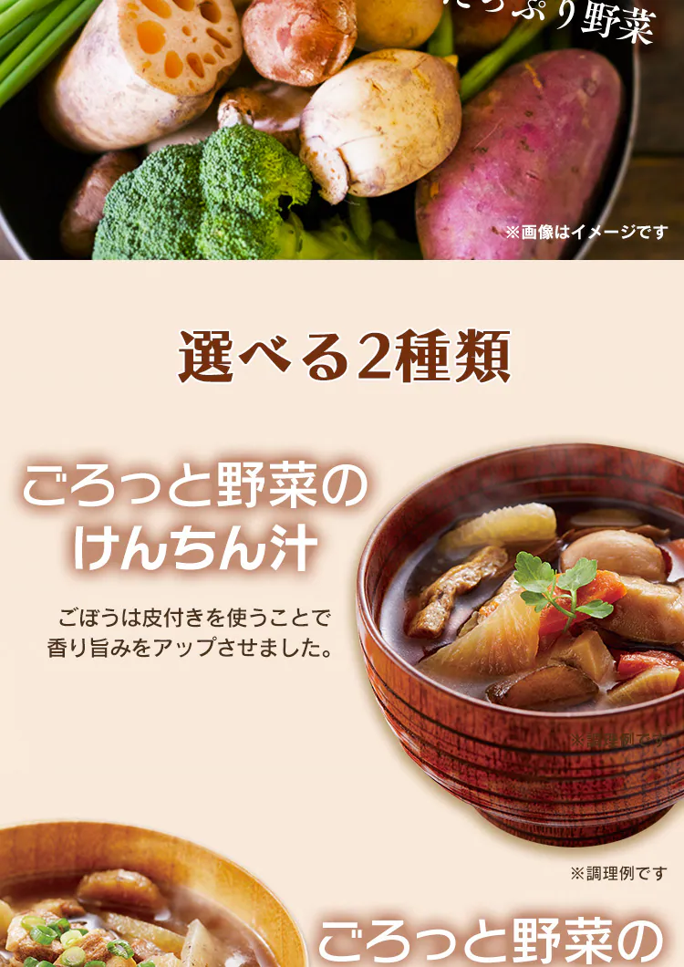 【12個】けんちん汁・豚汁 500g 全2種類2