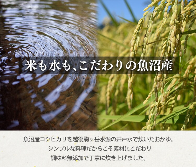 発芽玄米おかゆ・もち麦おかゆ 250g 全2種類1