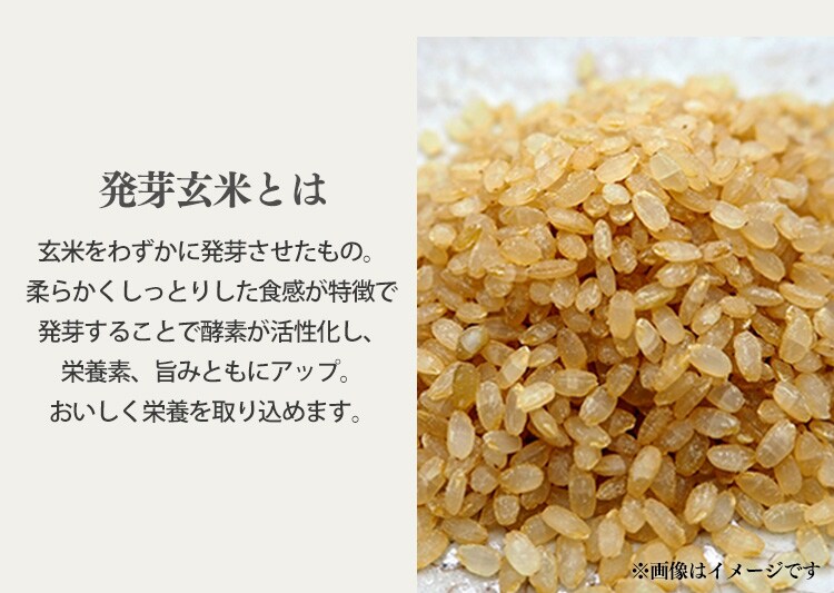 発芽玄米おかゆ・もち麦おかゆ 250g 全2種類6