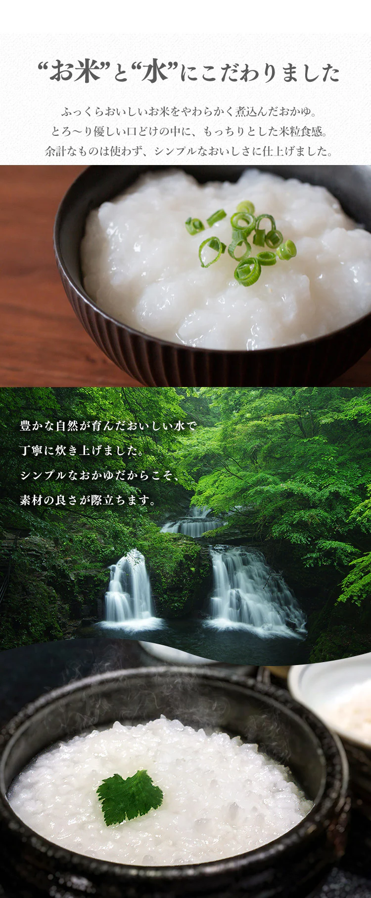 【10袋】 梅がゆ 250g3