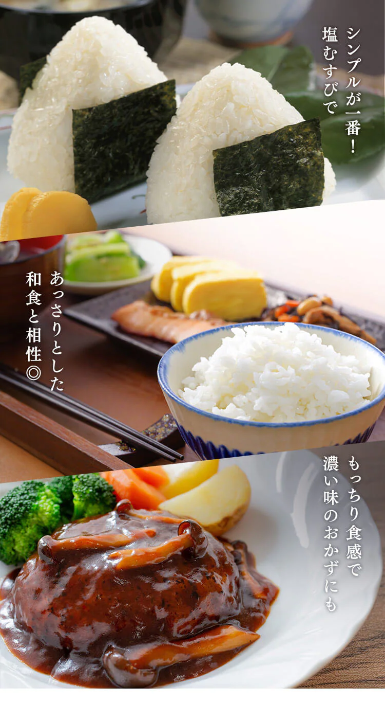 山形県産つや姫パックご飯150g×16P 1